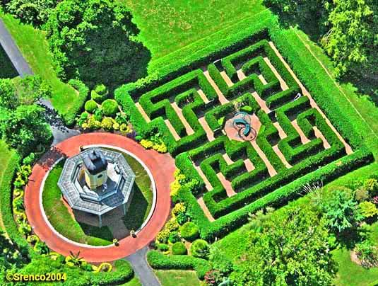 MBG Maze