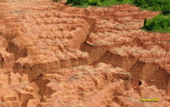 GrandCanyon look like D2004-05-28-00-98Crop